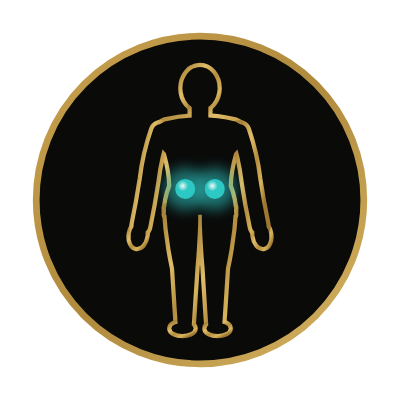 Energie ledvin