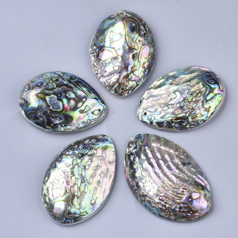 Abalone přívěsek velký, kvalita B, cca 60 mm