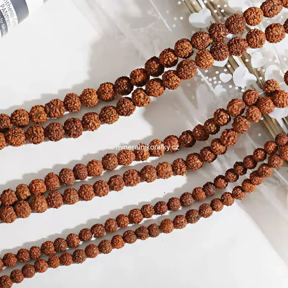 Rudraksha, 8 mm, tmavá, šňůra 68 cm