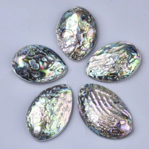Abalone přívěsek velký, kvalita B, cca 60 mm