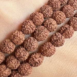Rudraksha, 7 mm, šňůra 68 cm